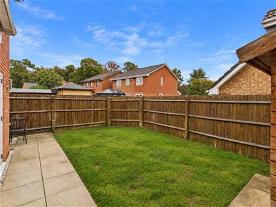 Picture 19